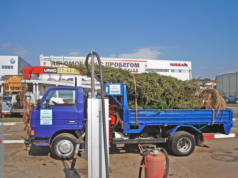 Перевозка двух елок 5,5 и 3,5 метра миниманипулятором с рынка Садовод для коттеджного поселка Павловское.