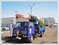Перевозка двух крупных елок весом 700 и 300 кг маленьким манипулятором с рынка Садовод для коттеджного поселка Павловское.